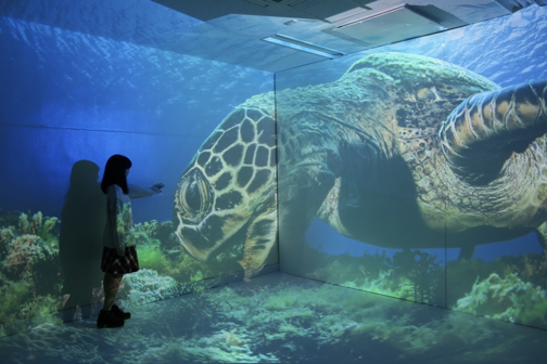 壁と床に海中の映像が広がり、体験者の前に大きなウミガメが映し出されている様子